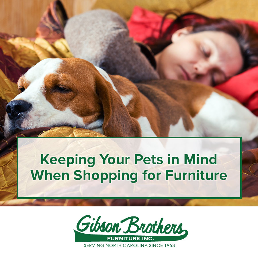 Keeping Your Pets in Mind When Shopping for Furniture